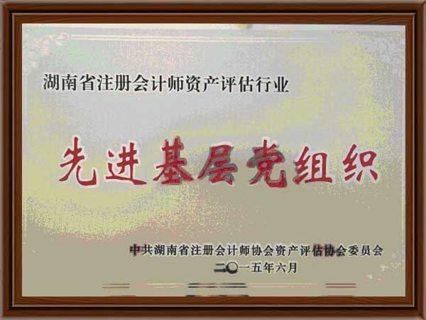 公司荣誉5