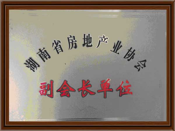 公司荣誉10