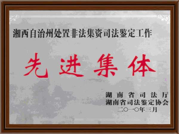 公司荣誉11