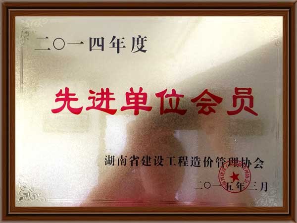 公司荣誉7