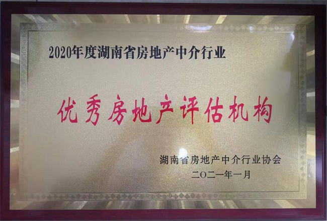 公司荣誉