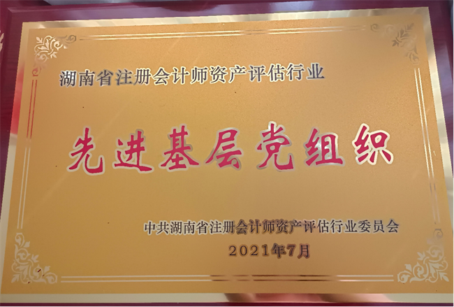公司荣誉