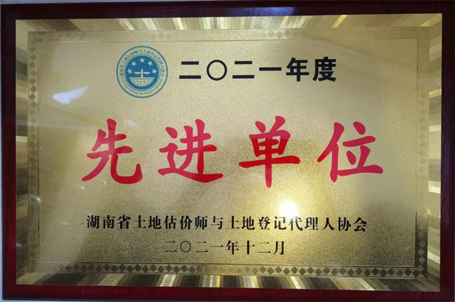 公司荣誉